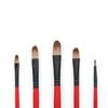 5 Pcs Nylon Hair Painting Brush Set Professional Painting Kits Round Pointed Tip Paintbrushes with Synthetic Nylon Tips
