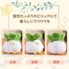 NASSIA Plush Toy - Cabbage and Bird - Funny, Cute, Humorous Item, Body Pillow, Relaxing Item, Gift (40cm)