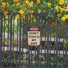 Retro Humorous "DON'T TOUCH MY SHIT" Wall Sign 1pc | 5.91x7.87 Inch | 2D Vintage Wood Fiber Board | Decor for Garage