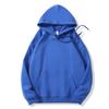 2025 autumn and winter new hooded sweater women's solid color college style loose casual velvet popular trendy brand Japanese and Korean style
