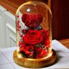 Valentine's Day Gift for Girlfriend Eternal Preserved Rose Flower Gift Box Teddy Bear Eternal Flower with Lights Gift for Women