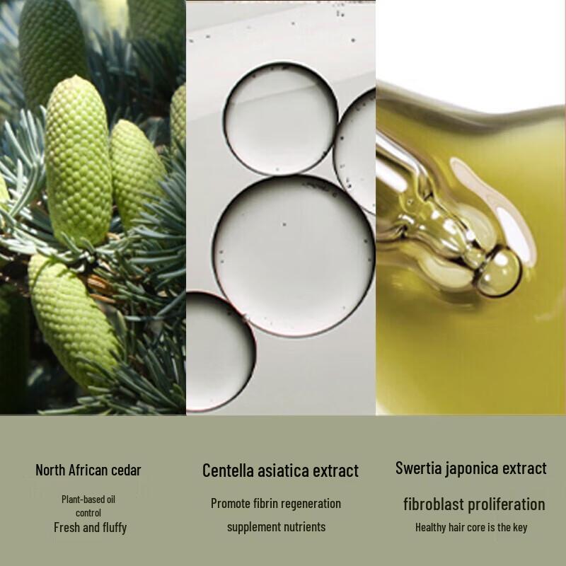 Bartie Oil Control Shampoo & Body Wash Set