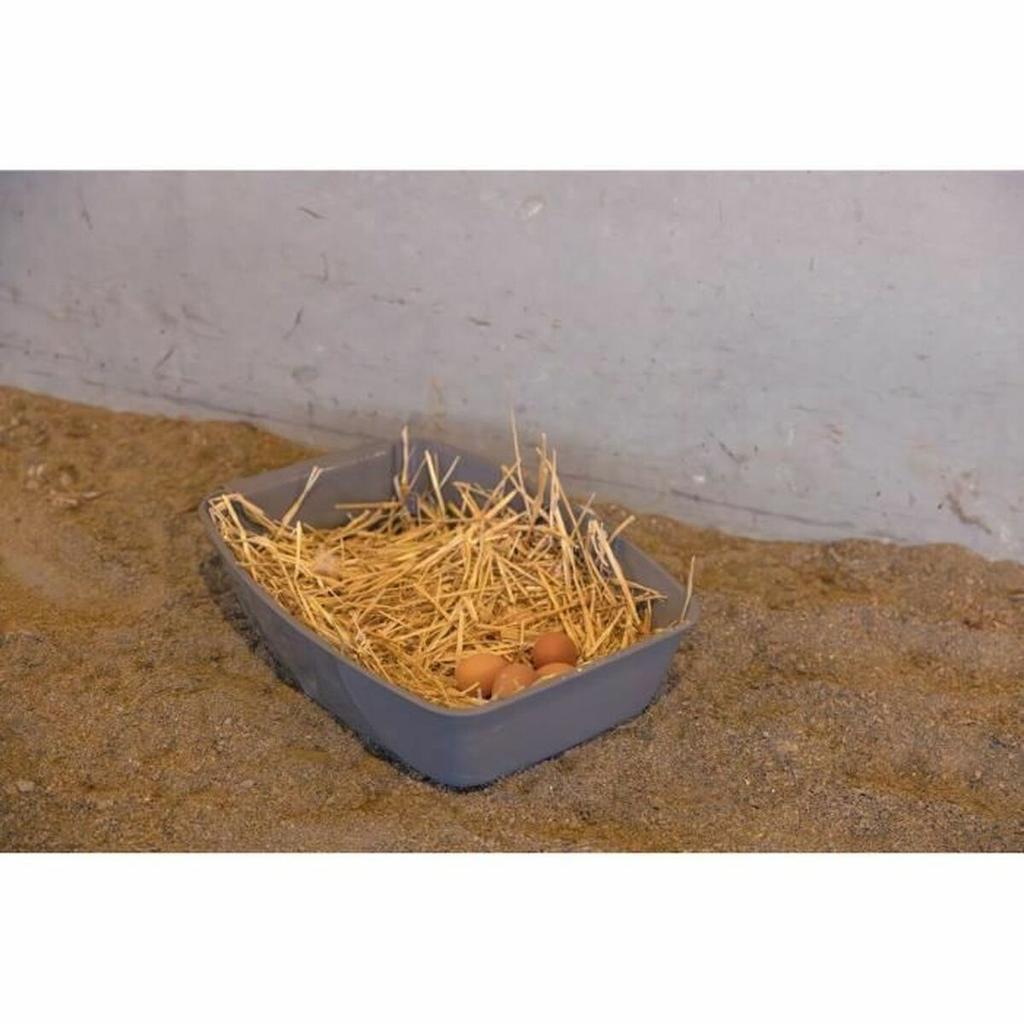 Bird House Kerbl Plastic