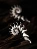 ZHUHE Conch Stud Earrings Vintage Style For Women Men's Jewelry Accessories Party Gifts