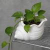 Meeresmuschel-Aufbewahrungsbox 3D-gedruckter Mini-Blumentopf Niedlicher Schreibtisch-Blumentopf Zimmerpflanzen