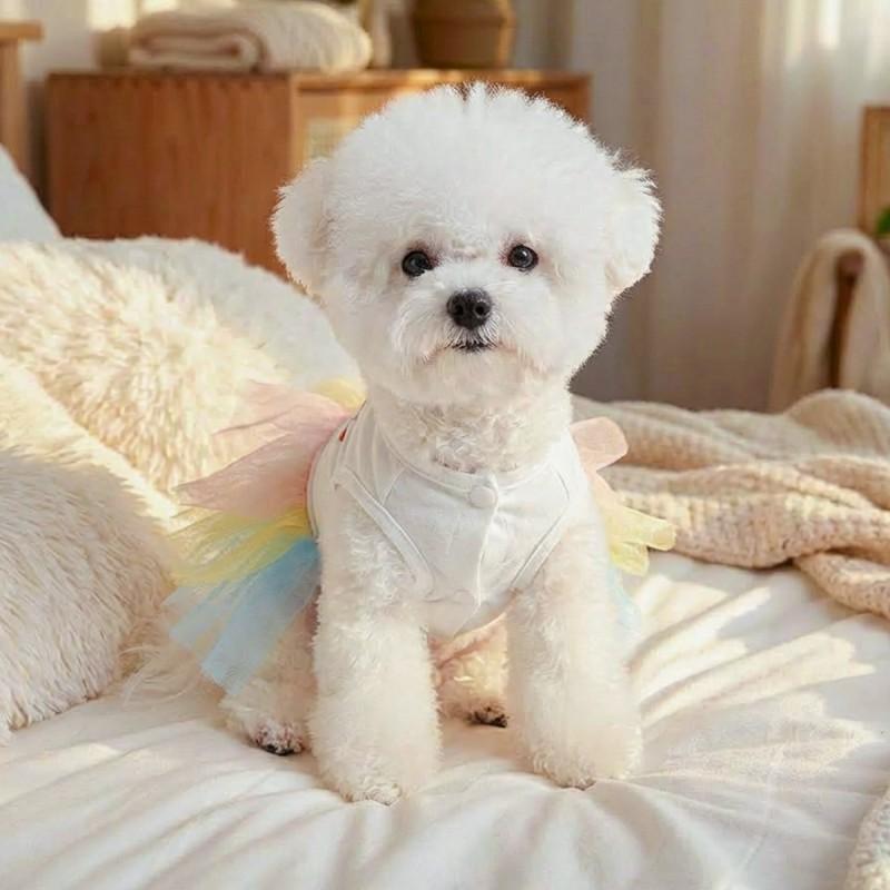 Pet Circle Cat Dog Costume Rainbow Bunny Easter Tulle Dress Small Medium Large Pets