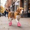 4PCS Adjustable Dog Foot Cover Breathable Anti-slip Pet Socks Pet Supplies Dog Mesh Shoes  Snow