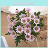 None Faux Daisy Flower Arrangement With Silk Material For Home Decoration And Photography