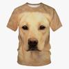 Summer Fashion Fun Animal Dog Pattern T-Shirt New Trend Casual 3D Printed Crew Neck Short Sleeve Top