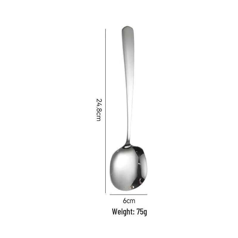 

Stainless Steel European Serving Spoon