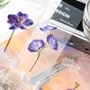 6 Stück Pflanzen Flüstern PVC Lesezeichen Set Natur Pflanzen Blumen Transparent Markierer Seite Notizhalter Schule Lesen Geschenk