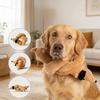 Quietschendes Plüsch-Hundespielzeug Wurst Welpen Kauspielzeug Weich Langlebig Interaktiv Haustierspielzeug Zahnen Reinigung Biss Hundekauspielzeug