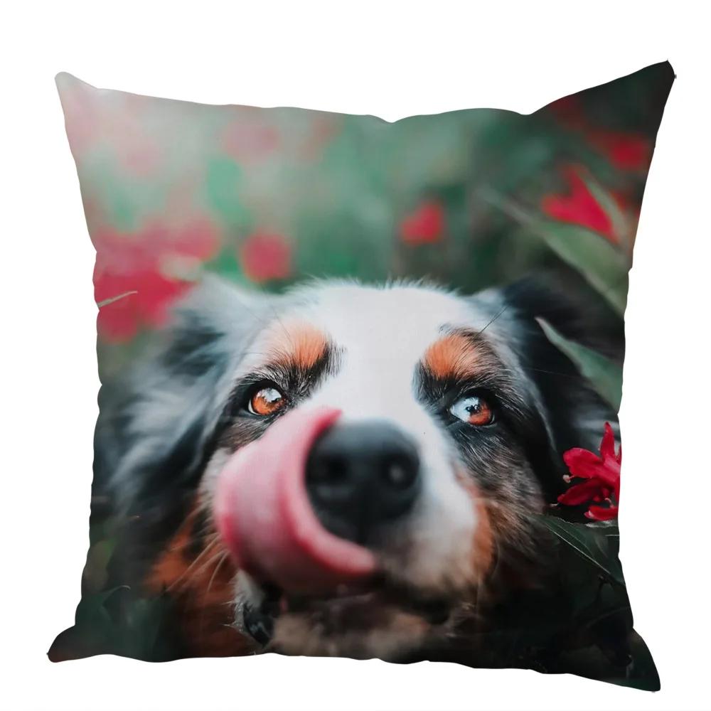 Cute Australian Shepherd Dog Pillow Case Peach Skin Decor Pet Animal Cushion Cover Thorw Pillowcase for Sofa Home Car 45x45cm
