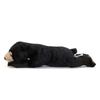 Calorata Malayan Sun Bear Plush Toy Realistic Bear Animal Toy Doll Gift Present Birthday Christmas Present (Nestling Series/Soft Touch) (Twice Tested)