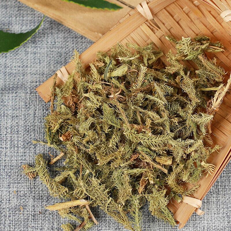 500g Shenjincao Healthy Herbal Tea Drink Shujincao Čínská specialita