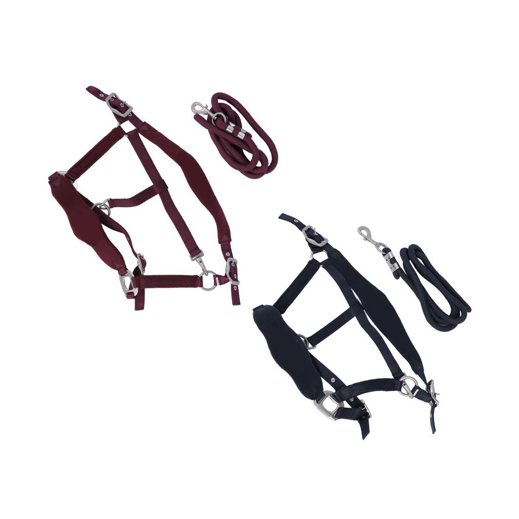 Horse Halter Set Prevent Rubbing Adjustable Horse Training Halter with 2m Horse Leash for Training D