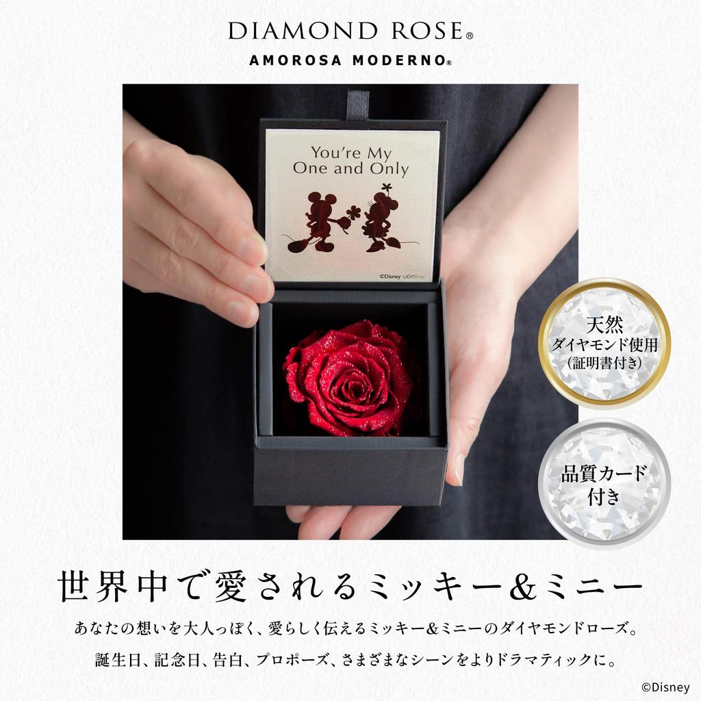 AMOROSA Preserved Flower Diamond Rose Box 85 Disney my one and only Bright Red Gift Flower Birthday Anniversary Proposal DS85ONE You're