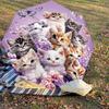 1PC Kittens Flowers Umbrella-8-Rib Reinforced Portable Folding Travel Suitable for All Seasons Outdoor Daily Use  -J0390