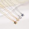 Fashion Bling Zircon Star Pendant Necklaces for Women Girls Stainless Steel Chain Cute Star Jewelry Gifts for Friends Lover