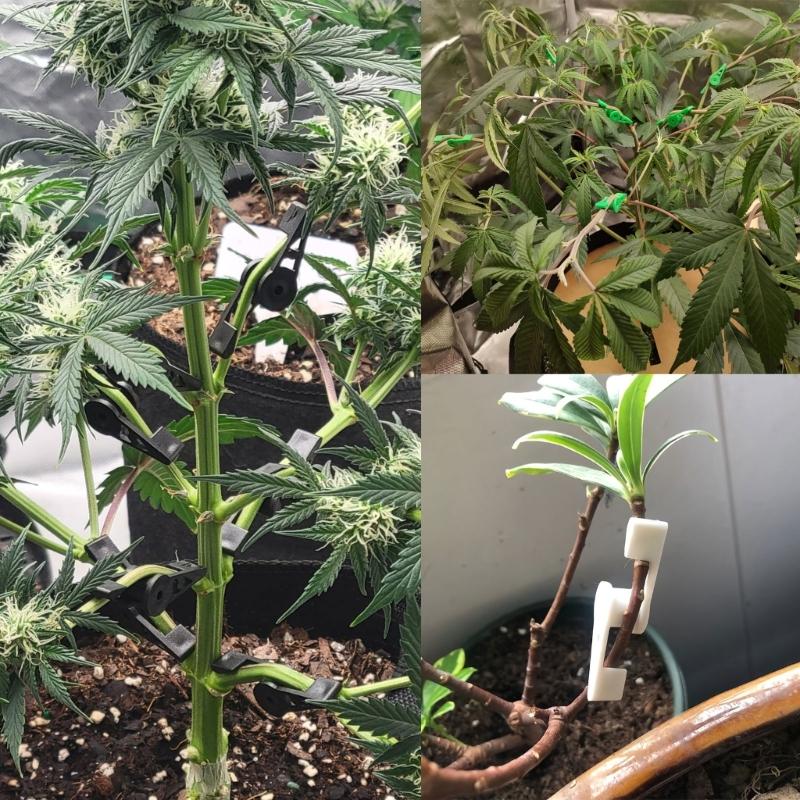 Gardening Training Clips Adjustable Plant Support System for Vine Vegetables 360 Degree Bendable Design Plastic Plant Clips