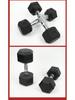 Hexagonal Fixed Dumbbell with Rubber Coating for Commercial Gyms - Ideal for Personal Trainers and Arm Strength Training.