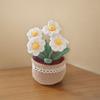 Couture et tricot – Kits de tricotage