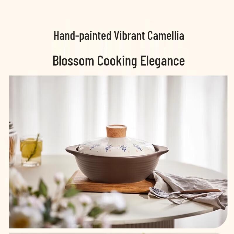 Bear 3.2L High-Temperature Ceramic Casserole Pot