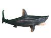 Crop Ancient Fish Figure Megalodon Impressive Size 25cm Long Dinosaur Model (Megalodon)