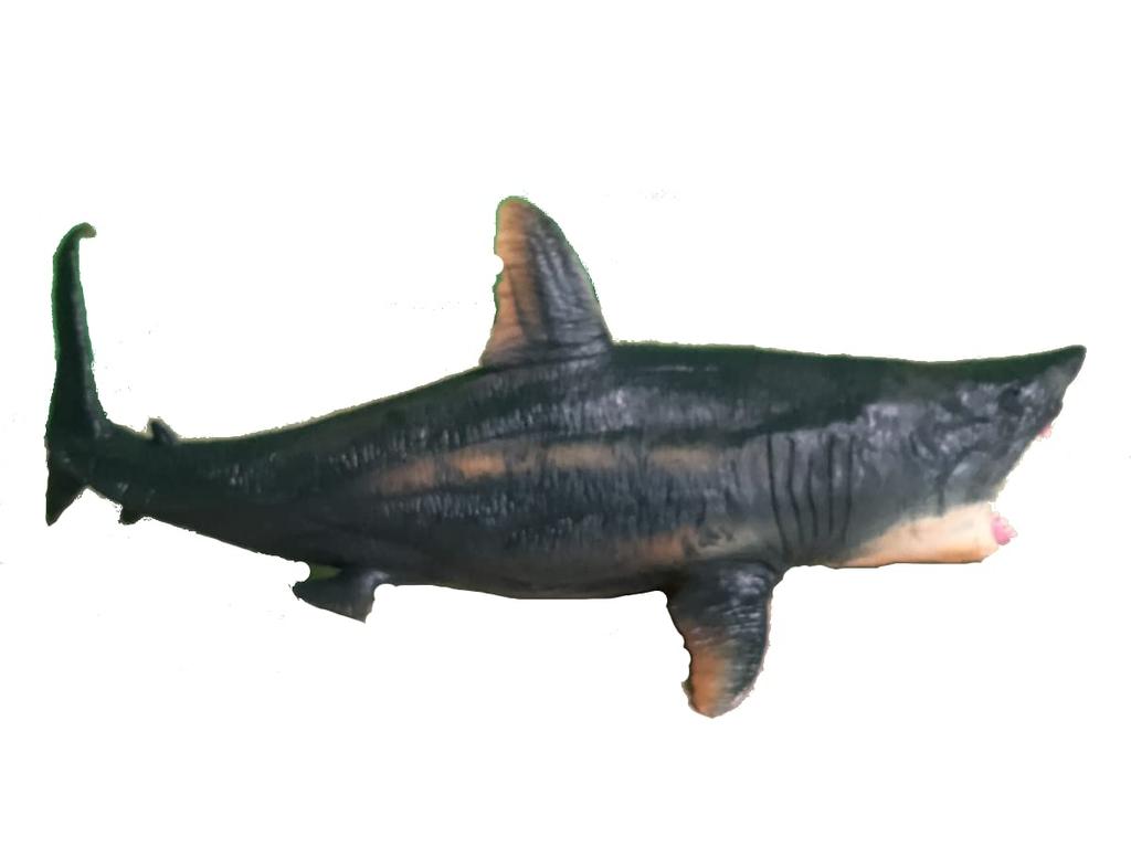 Crop Ancient Fish Figure Megalodon Impressive Size 25cm Long Dinosaur Model (Megalodon)
