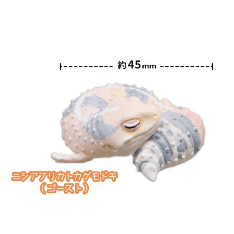 Genuine Gacha Scale Model The Guardian of Sleep Sleeping Reptile Lizards Decorative Item Action Figure Toys