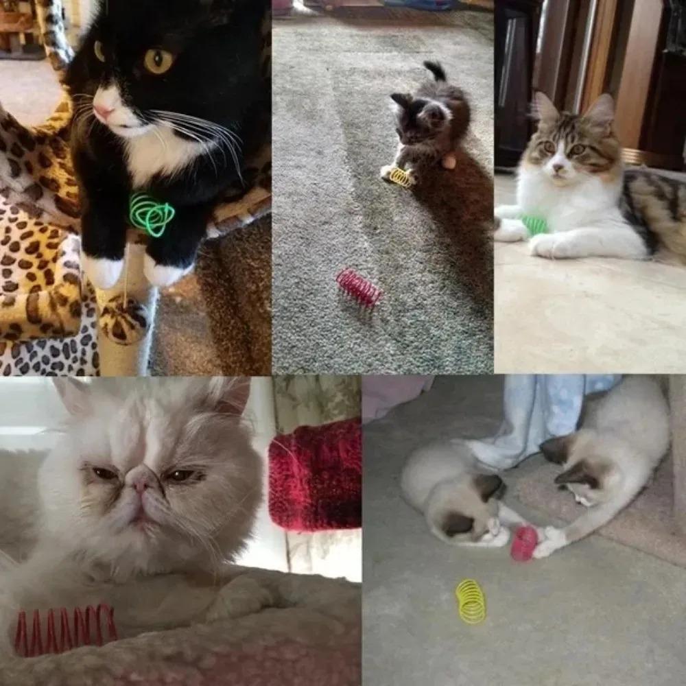 Interactive Spiral Spring Cat Toys Colorful Coil Springs Durable Pet Kitten Toys for Chewing Playing