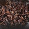 2019 Haiwan Shu Puerh Chinese Tea 191 Remote Mountain Old Tree Ripe Puer 500g