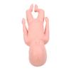 Newborn Model Plastic Educational High Simulation Full Term Baby Simulator Model For Teaching
