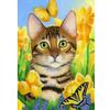 DIY Cat 5D Diamond Painting Full Round Drill Resin Animal Diamond Embroidery Cross Stitch Mosaic Kits Wall Art Home Decor Gift