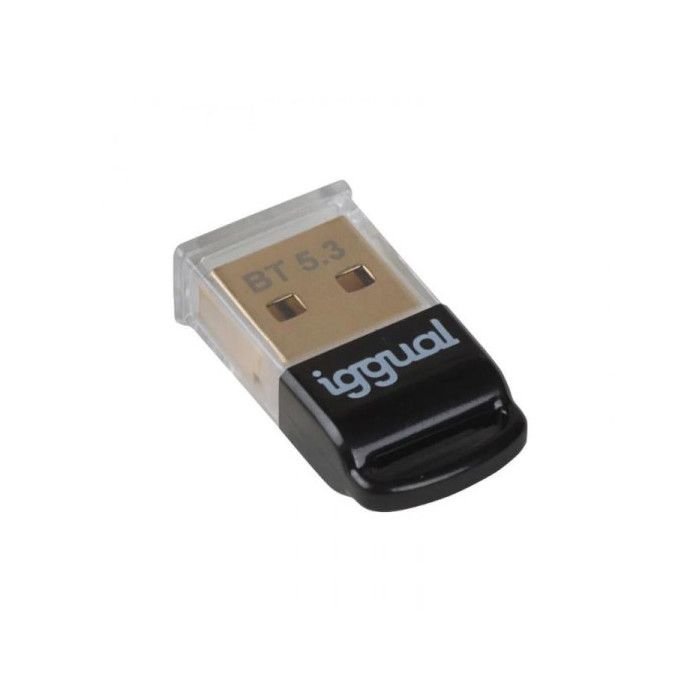 Iggual Adaptador USB 2.0 mini Bluetooth 5.3