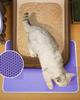 Double Layer Cat Litter Mat Waterproof Pet Toilet Cat Litter Trapping Mat Non Slip Double Layer Cats Litter Box Pad Pet Product