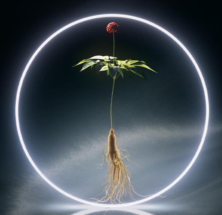 Sulwhasoo Concentrated Ginseng Renewing Eye Cream EX 20ml – Premium Anti-Aging Eye Care