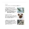 THREE Authentic Balancing Stem Lotion