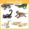 Simulation Animal Figures Pvc Collection For Childrens Learning And Decoration