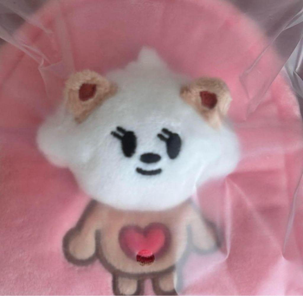 [USED] TXT Purbatu Bumgyu Multi-Pouch Beomgyu