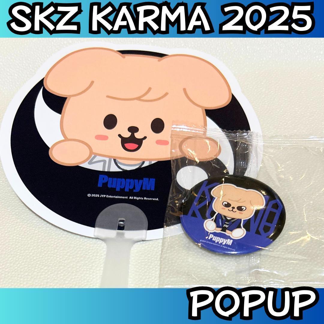 

[USED] Stray Kids Seungmin Papim Fan Mirror Bonus Set i304