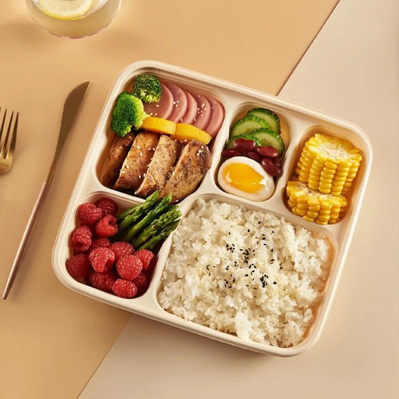 Eco-Friendly 5-Compartment Disposable Takeout Container