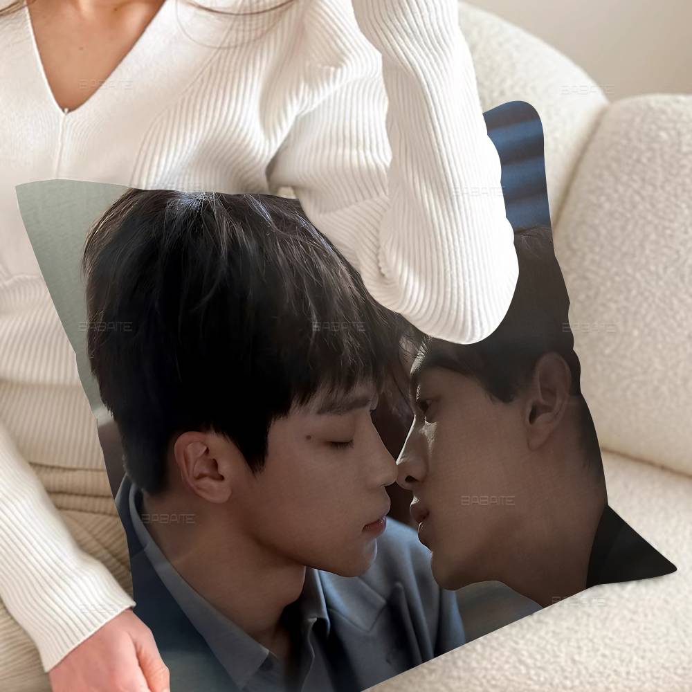 R-Revenged Love Movie Cushion Cover Pillow Cover Decor Pillowcase Printed Cushion Case For Couch