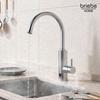 Robinet Chauffe-eau Instantané à Poser, Eau Chaude Immédiate Inox, Camping Briebe IH1205 3600W Acier inoxydable