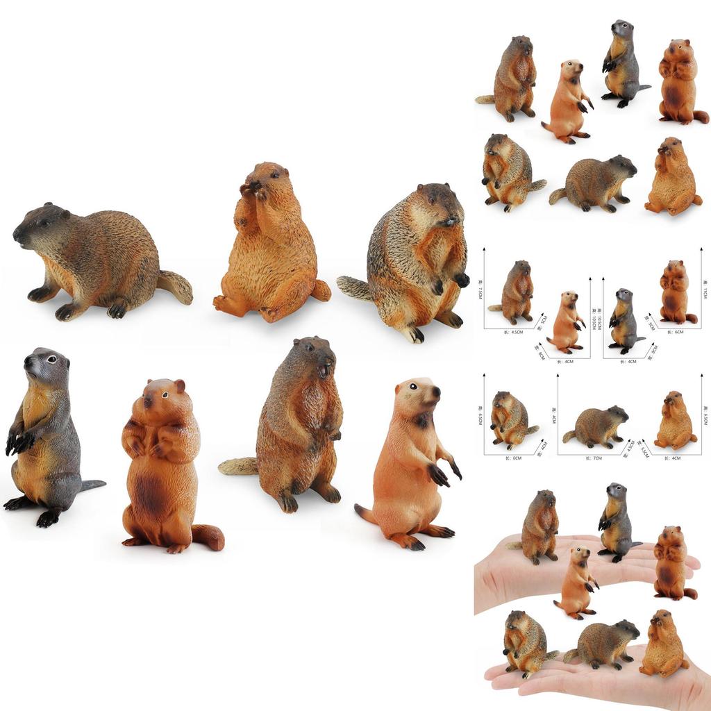 Entzückende PVC-Eichhörnchen-Modellsammlung mit lebensechten Details für Kinder