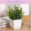 Faux Eucalyptus Plant Small Potted Plastic Home Decor For Living Room Desktop