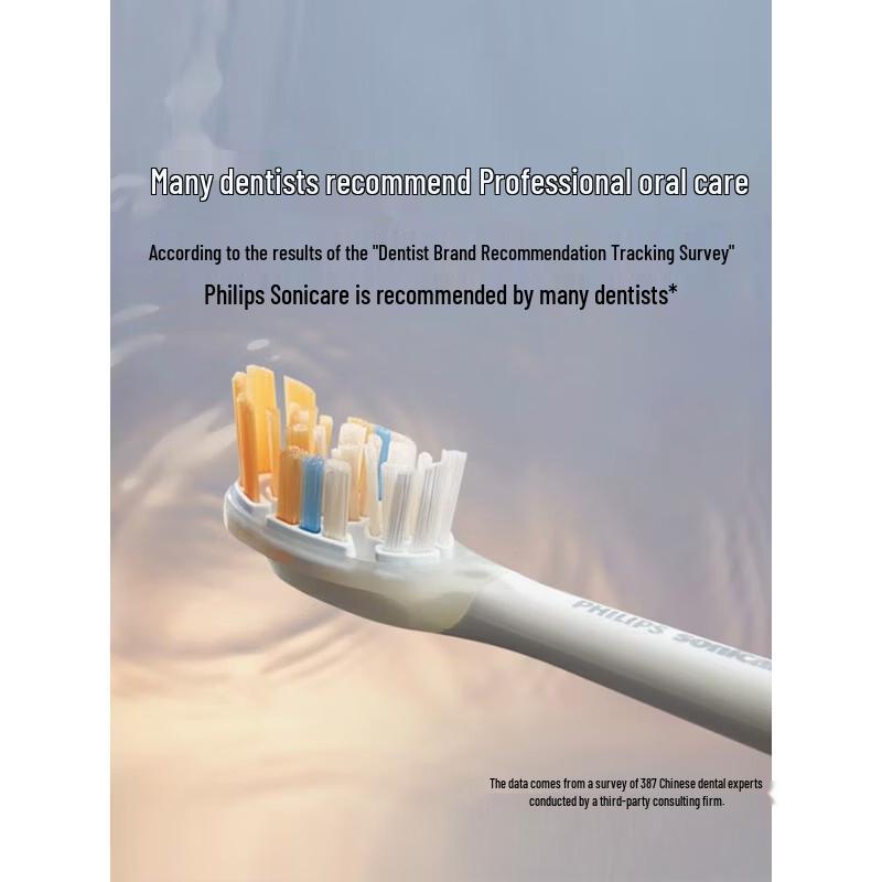 Philips Premium All-in-One Electric Toothbrush Head CN plug (adapter included)