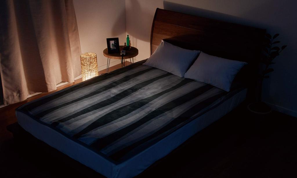 Sugiyama Premium Boa Electric Blanket with Throw 190 x 140 Wide Made in Art Stripe (Combined Blanket), cm, Size, Japan, SSW20KW10(AS),