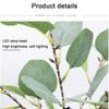 LED Lampa Stołowa Drzewko Sztuczny Eukaliptus 55cm LED Zasilana Bateriami USB Lampki Drzewko Do Pokoju Sypialni Lampa Stołowa Dekoracja Biurka