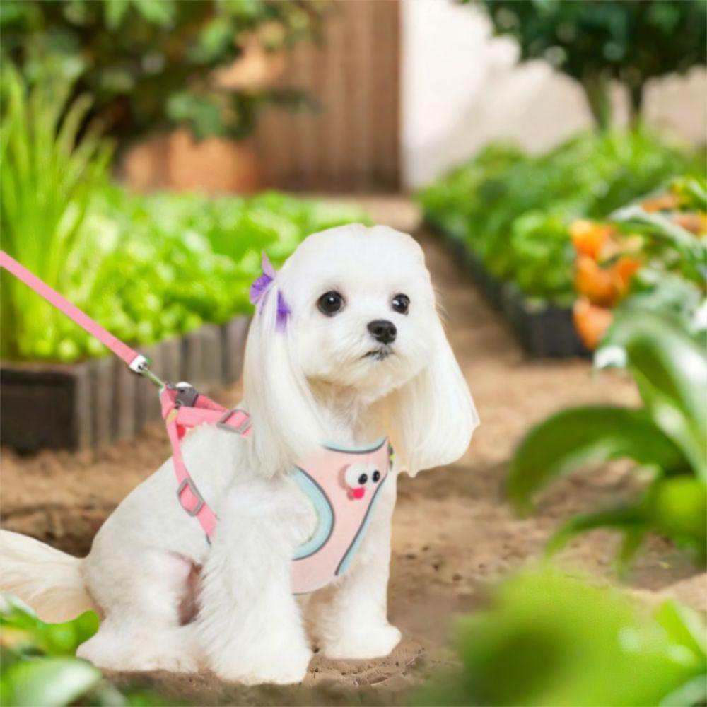 Big Eyes Dog Harness Vest Cartoon Dog Harness and Leash Set Cat Chest Straps  for Dogs Cats